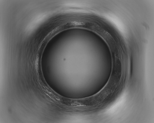 X0000112180387200908071331