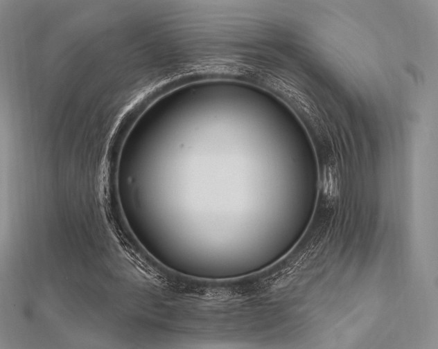 X0000112180388200908071331