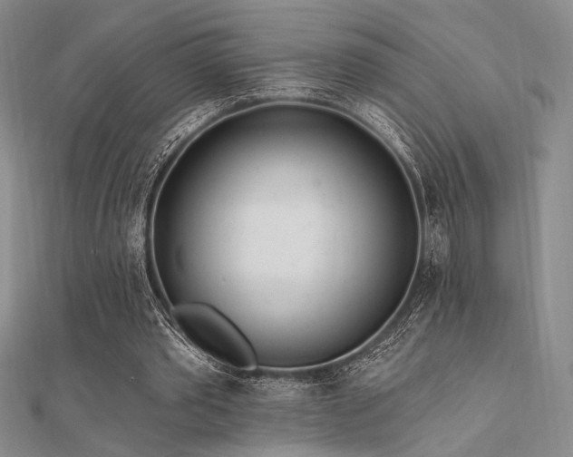 X0000112180389200908071331