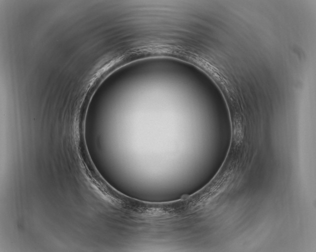 X0000112180390200908071331