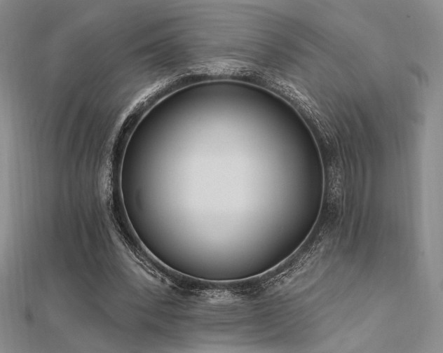 X0000112180392200908071331