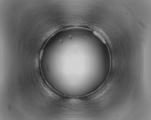 X0000112180393200908071331