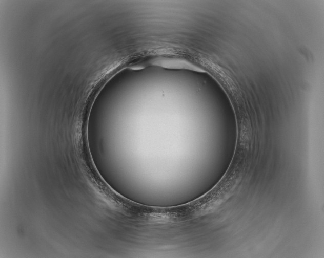 X0000112180394200908071331