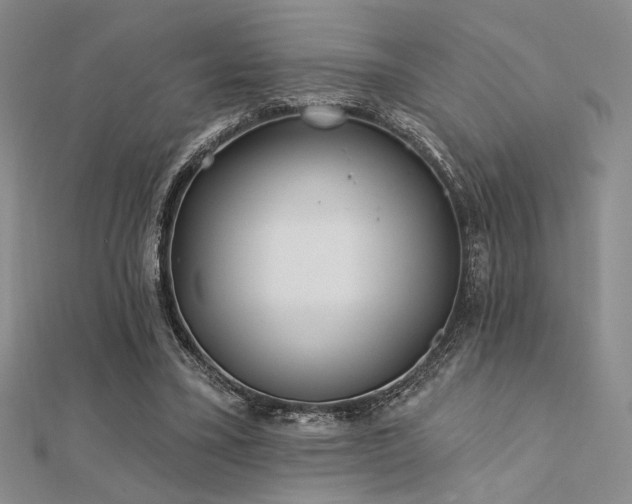 X0000112180395200908071331