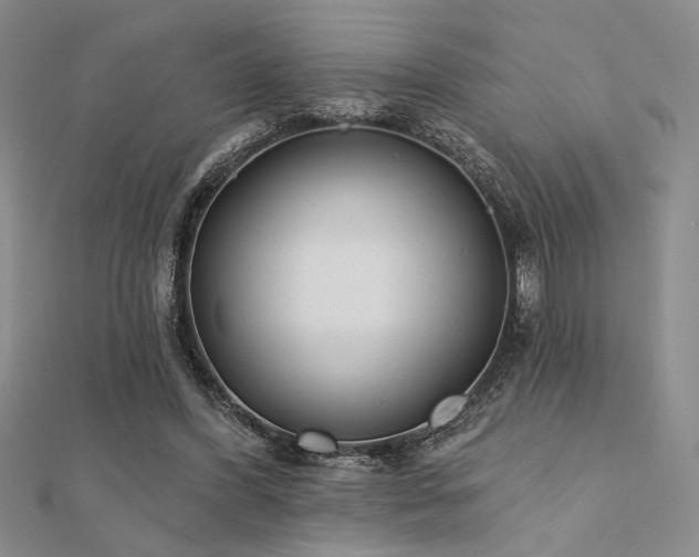 X0000112180396200908071331