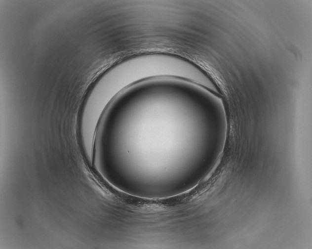 X0000112180397200908071331