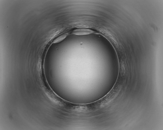 X0000112180398200908071331