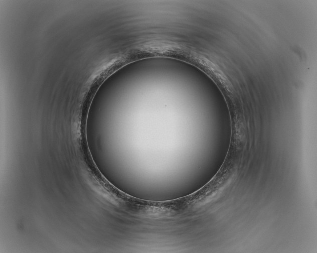 X0000112180399200908071331