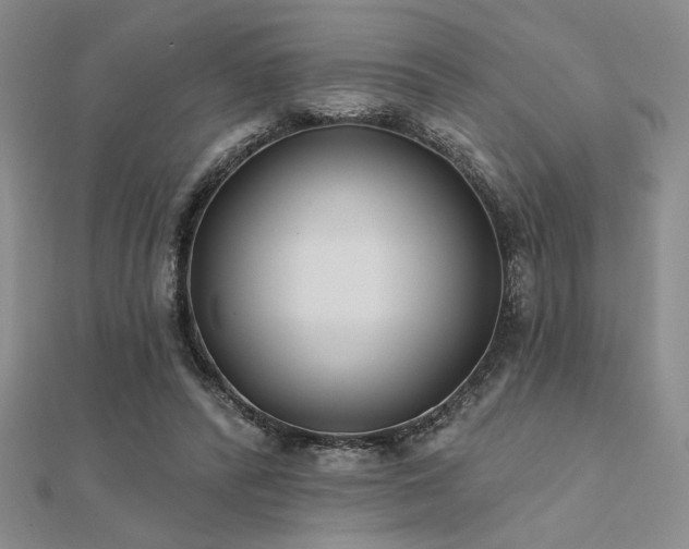 X0000112180400200908071331