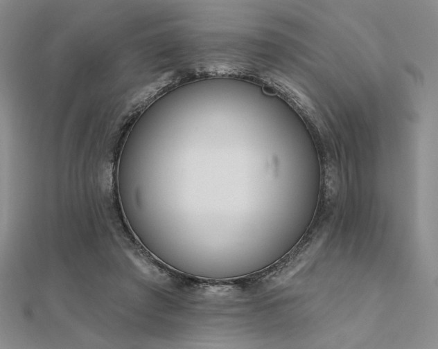 X0000112180401200908071331