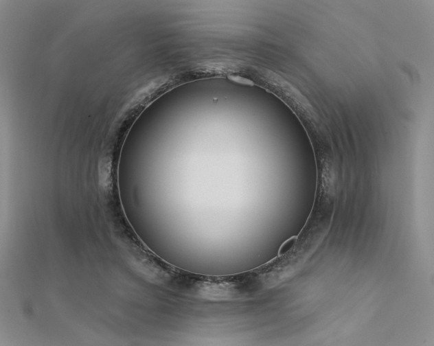 X0000112180403200908071331