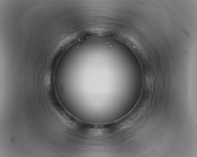 X0000112180404200908071331