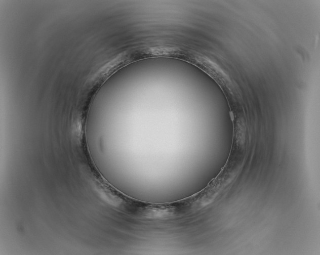 X0000112180405200908071331