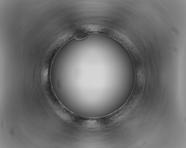 X0000112180406200908071331