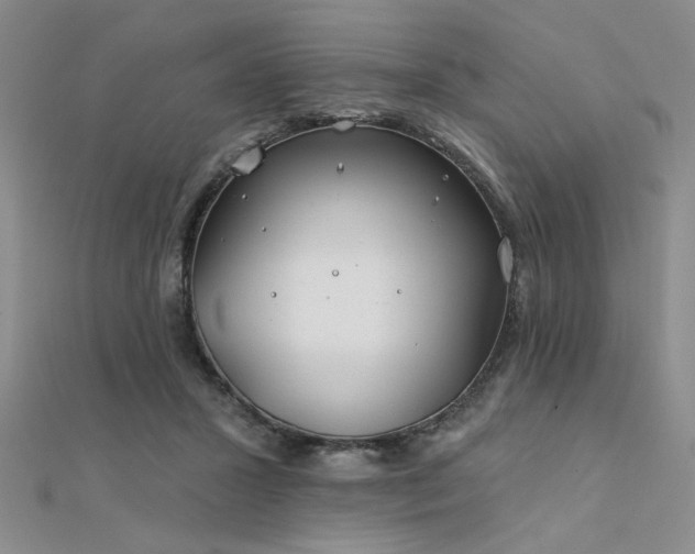 X0000112180407200908071331