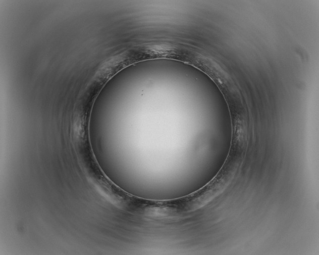 X0000112180408200908071331