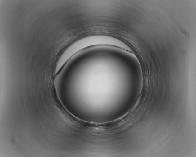 X0000112180411200908071330