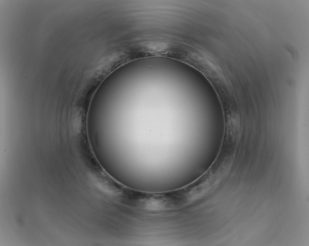 X0000112180412200908071330