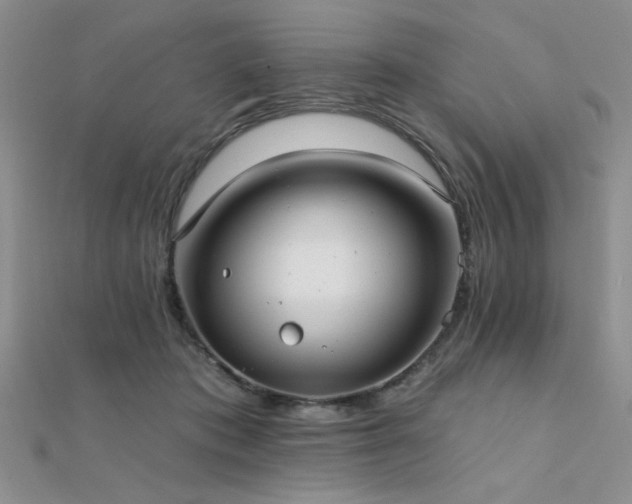 X0000112180413200908071330