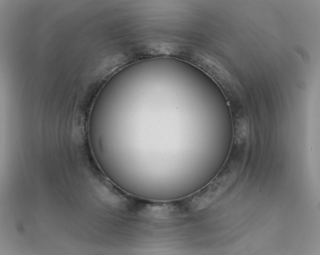 X0000112180414200908071330