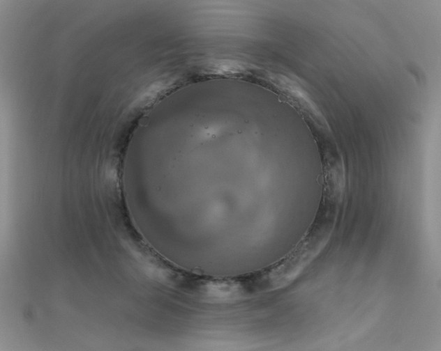 X0000112180415200908071330