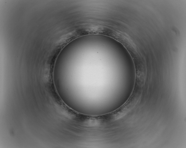 X0000112180416200908071330