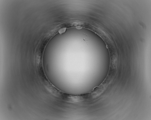 X0000112180417200908071330