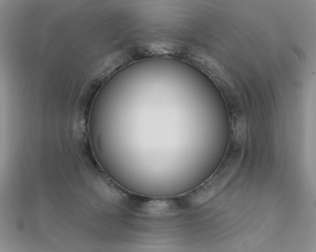 X0000112180418200908071330