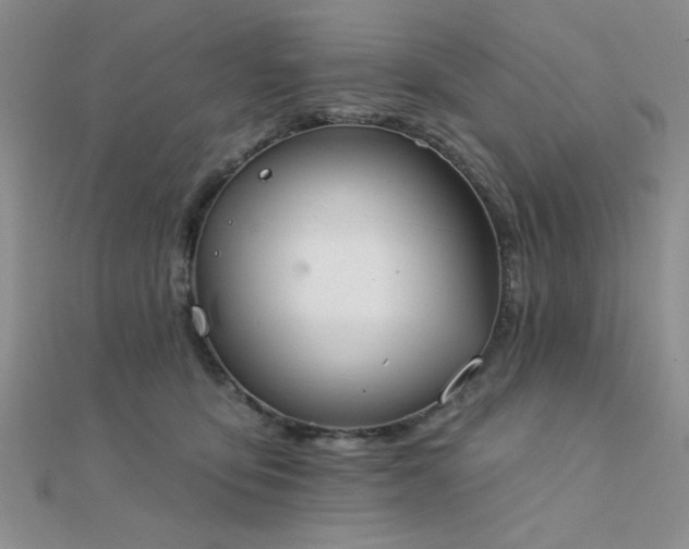 X0000112180419200908071330