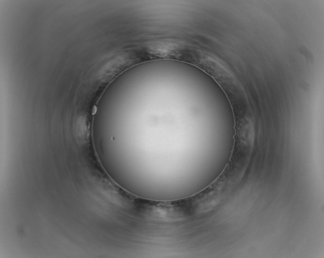 X0000112180420200908071330