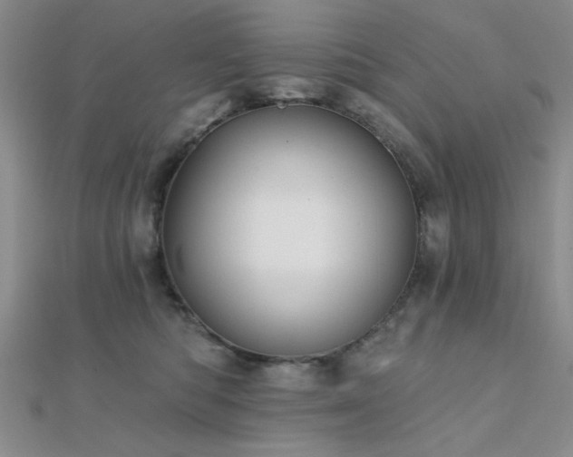 X0000112180422200908071330