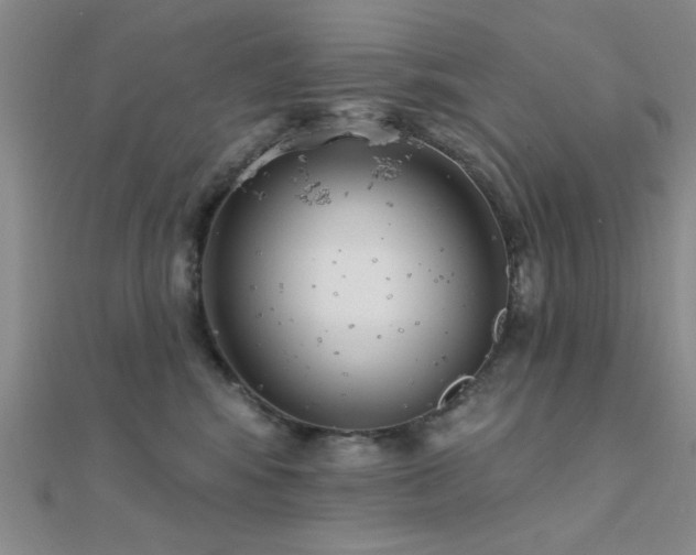 X0000112180424200908071330