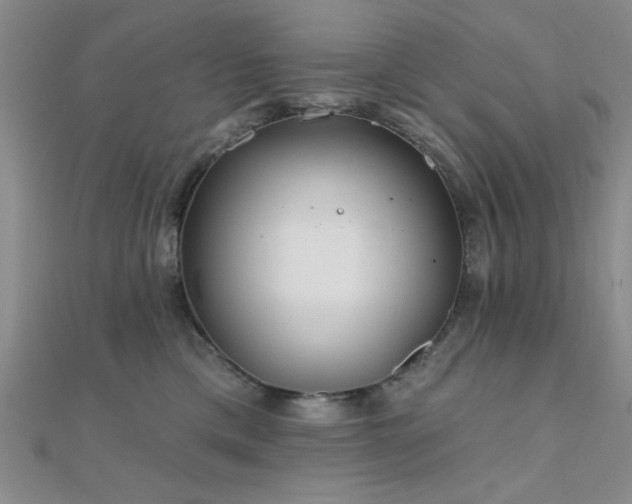 X0000112180425200908071330