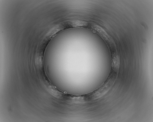 X0000112180426200908071330