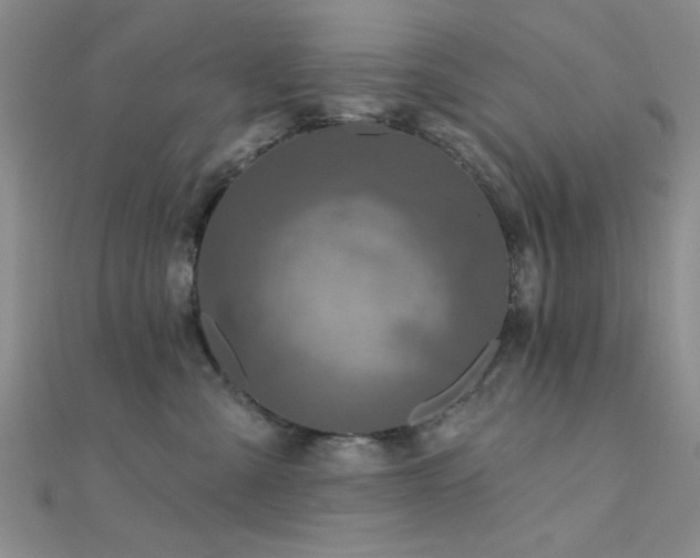 X0000112180427200908071330