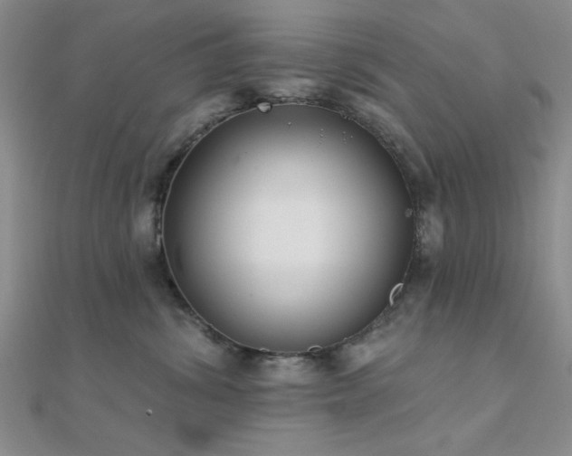 X0000112180428200908071330