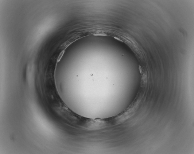 X0000112180429200908071330