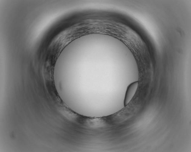 X0000112180431200908071330