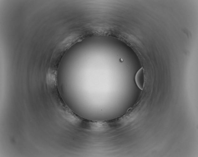 X0000112180432200908071330