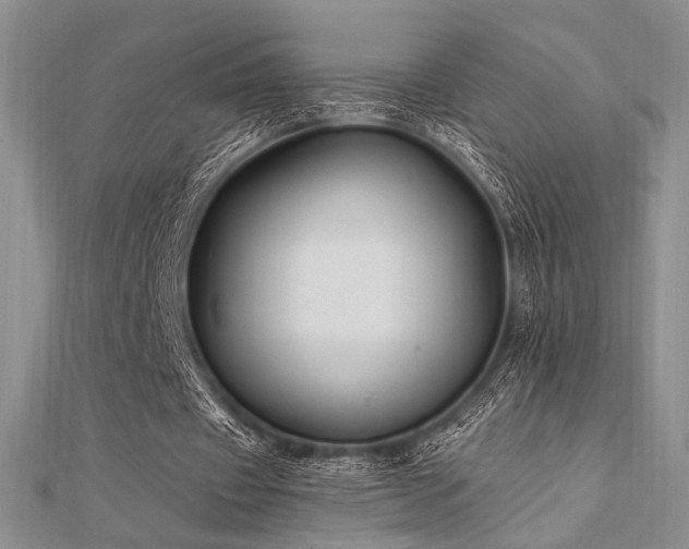 X0000112180433200908071329