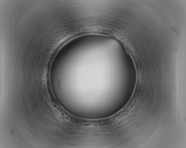 X0000112180434200908071329