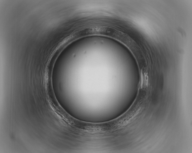 X0000112180435200908071329