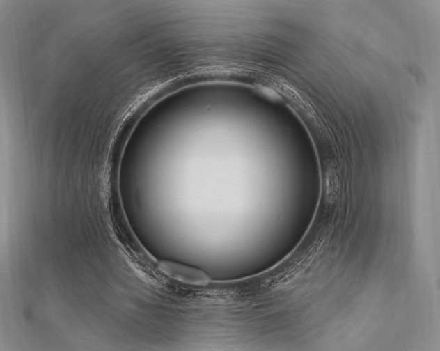 X0000112180436200908071329