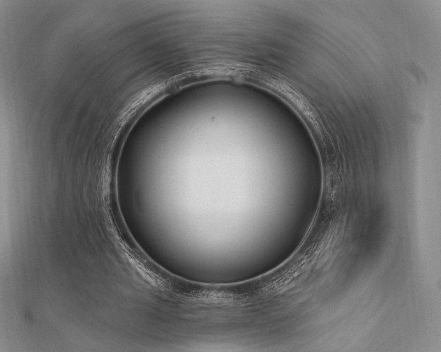 X0000112180437200908071329