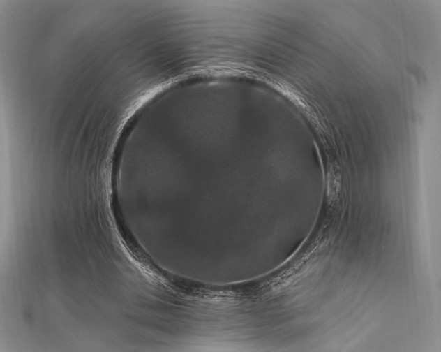 X0000112180438200908071329