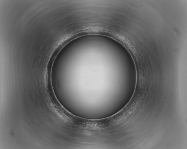 X0000112180439200908071330