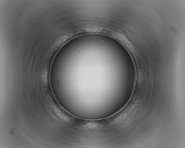 X0000112180441200908071330