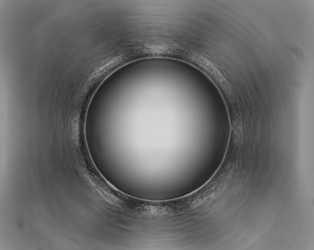 X0000112180442200908071330