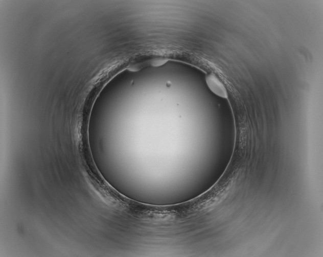 X0000112180443200908071330