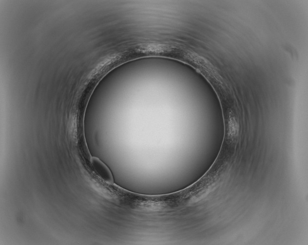 X0000112180444200908071330